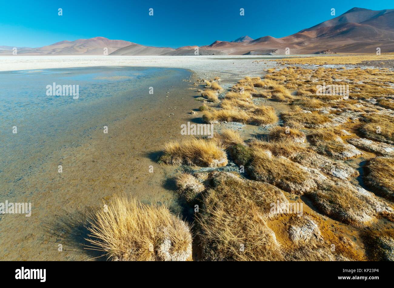 Santa Rosa Lagoon, Nevado Tres Cruces National Park, Region III of Atacama, Chile, South America. Stock Photo
