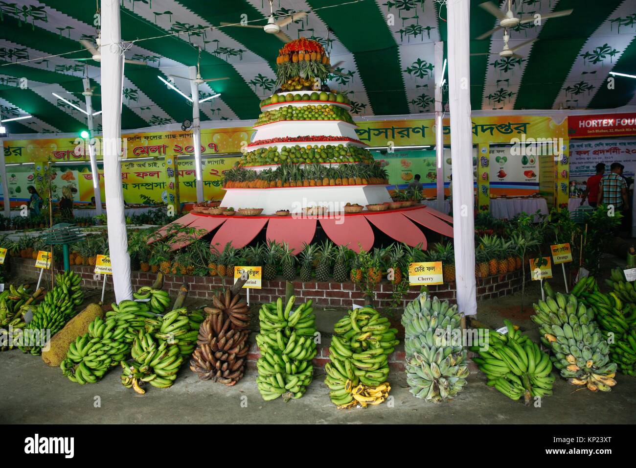 Verities fruits displayed in the National Fruit exhibition at Agricultural Institute in Dhaka, Bangladesh. Stock Photo