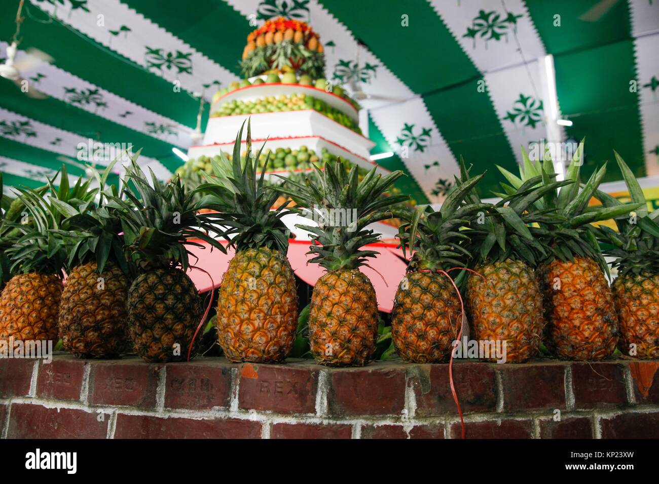 Verities fruits displayed in the National Fruit exhibition at