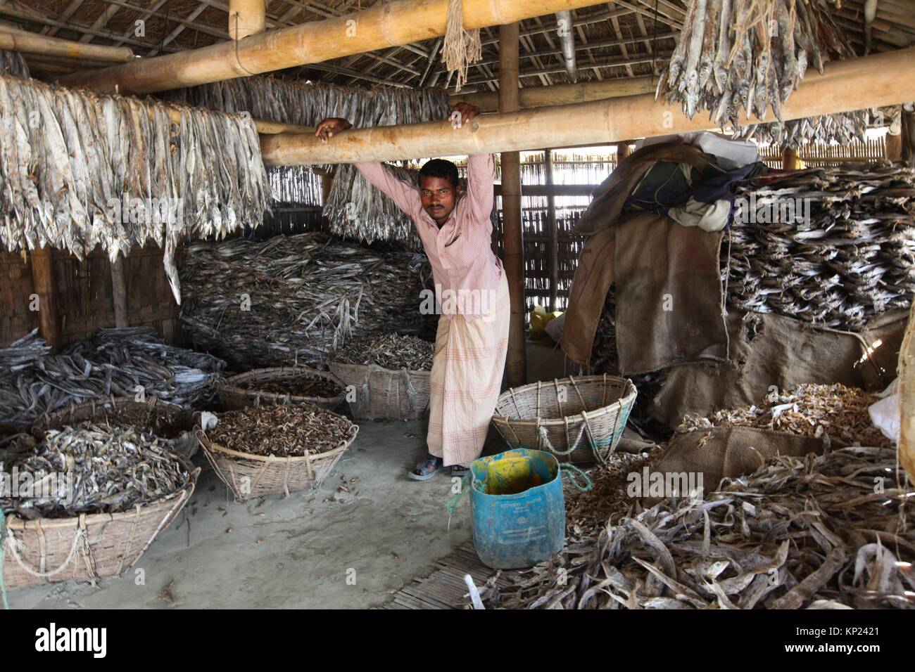 Cox's Bazar, Bangladesh. Dried-fish production has got a huge thrust as the winter is approaching in the region as well as the whole country. Stock Photo