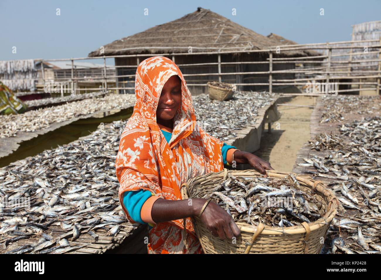 Cox's Bazar, Bangladesh. Driedfish production has got a huge thrust as