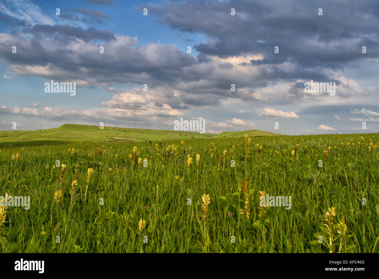 Spring landscape with Russian Caucasus green mountains Stock Photo - Alamy