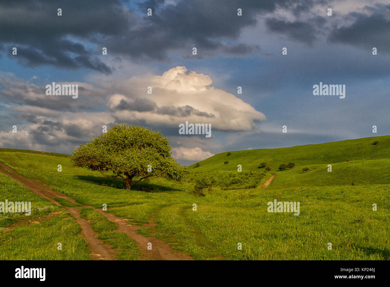 Spring landscape with Russian Caucasus green mountains Stock Photo - Alamy