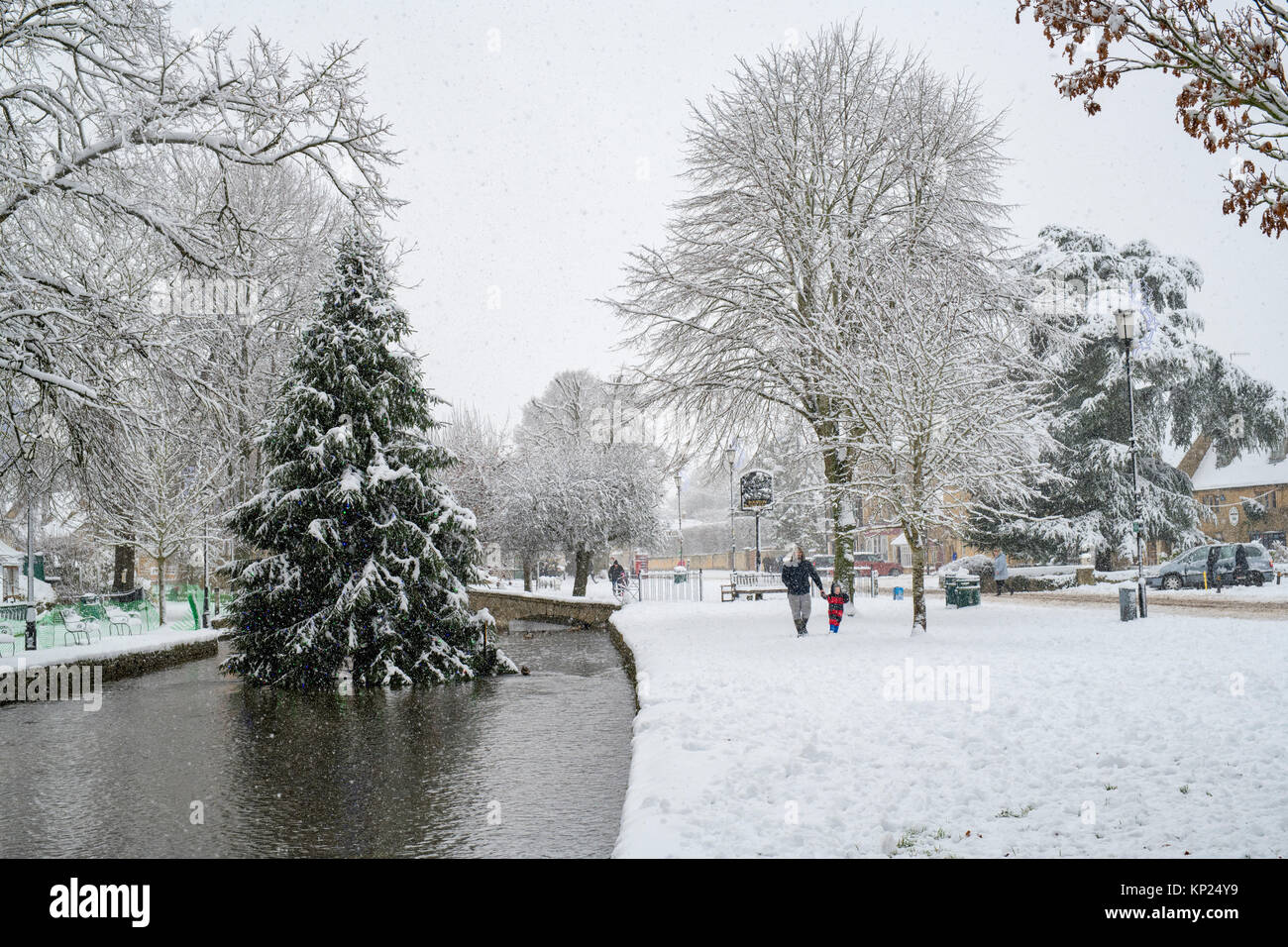 Falling snow covering the Christmas tree in Bourton on the Water, Cotswolds, Gloucestershire, England Stock Photo