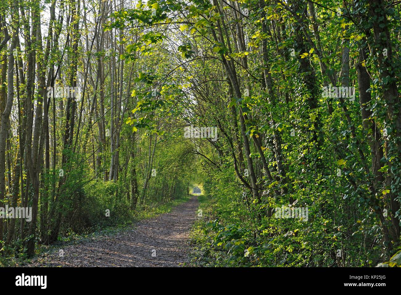 greenway, a former railway in Eure Valley, Eure-et-Loir department, Centre-Val de Loire region, France, Europe. Stock Photo