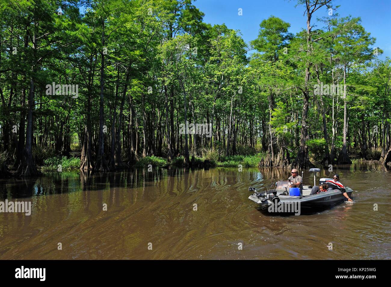 motor boat trip on a cypress-lined backwater channel of Neches River, Beaumont, Texas, United States of America, North America Stock Photo