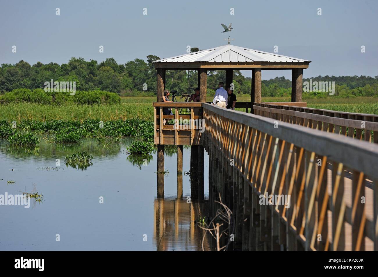 Cattail Marsh Scenic Wetlands and boardwalk, Beaumont, Texas, United