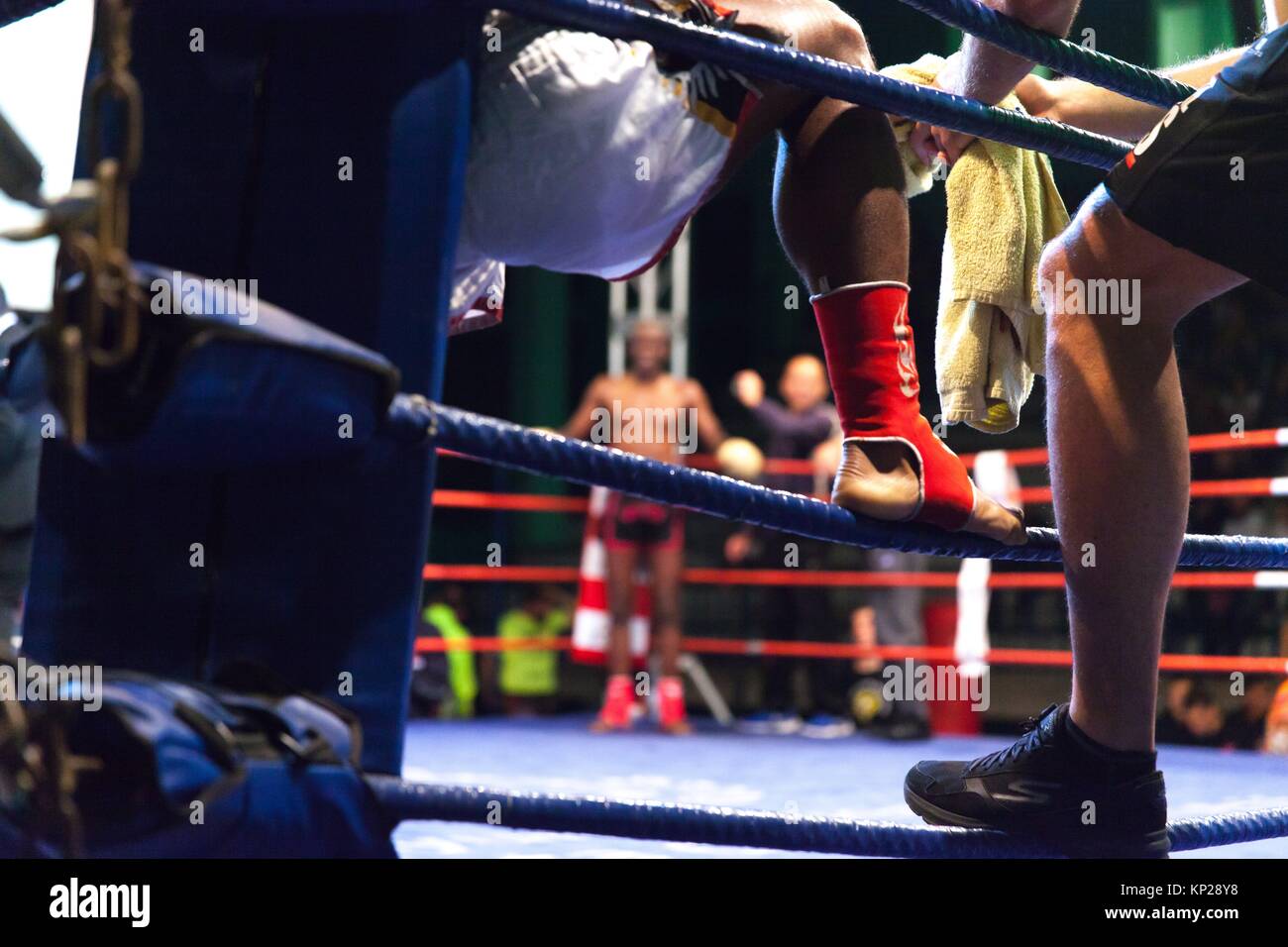 Professional wrestling match hires stock photography and images Alamy