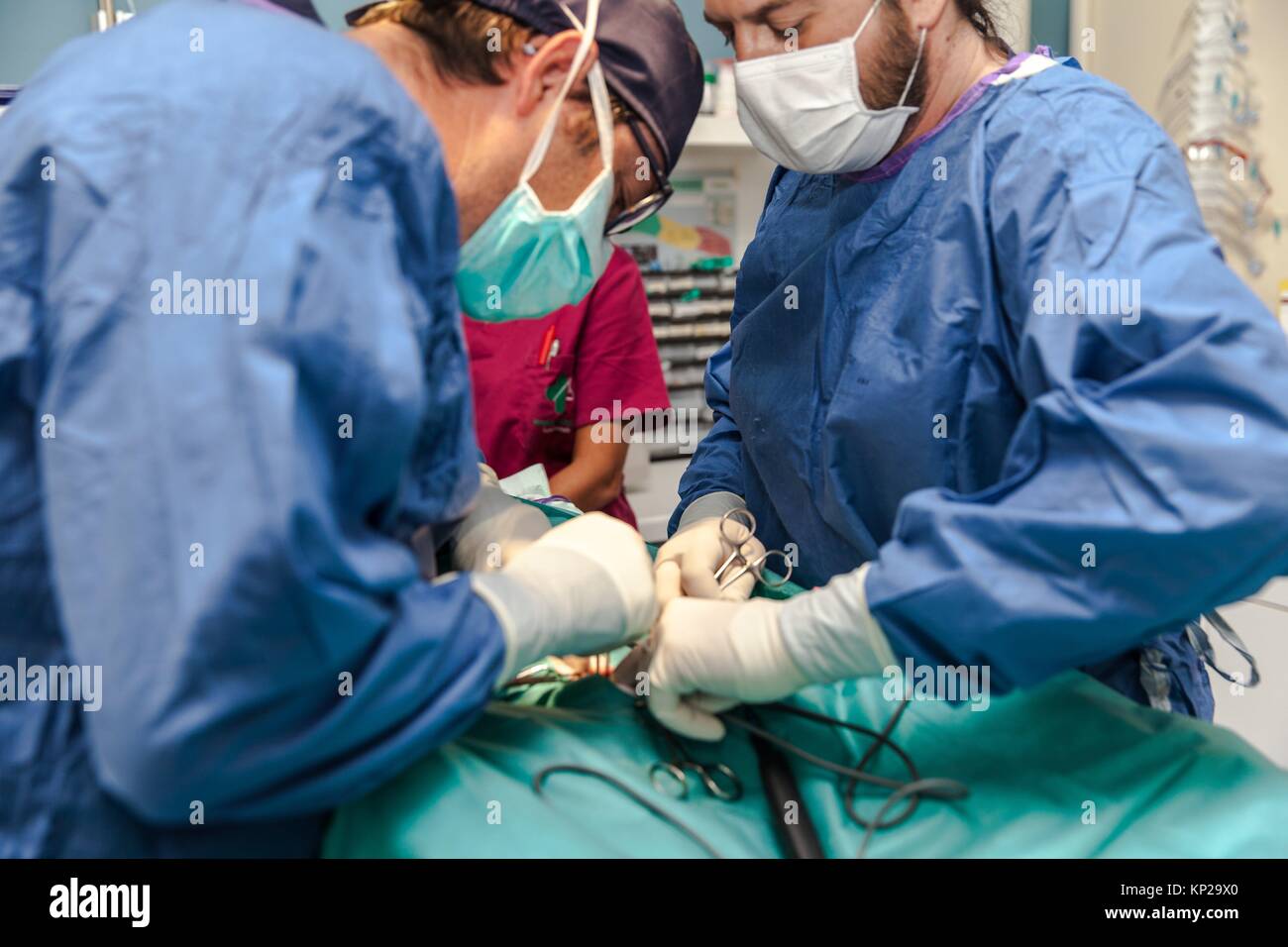 Vet with dog surgery hires stock photography and images Alamy