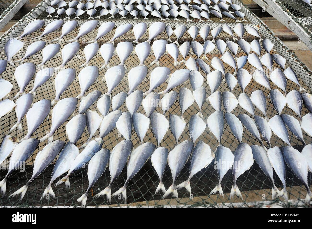fish drying on a rack, Prachuap Khiri Khan, Thailand Stock Photo Alamy