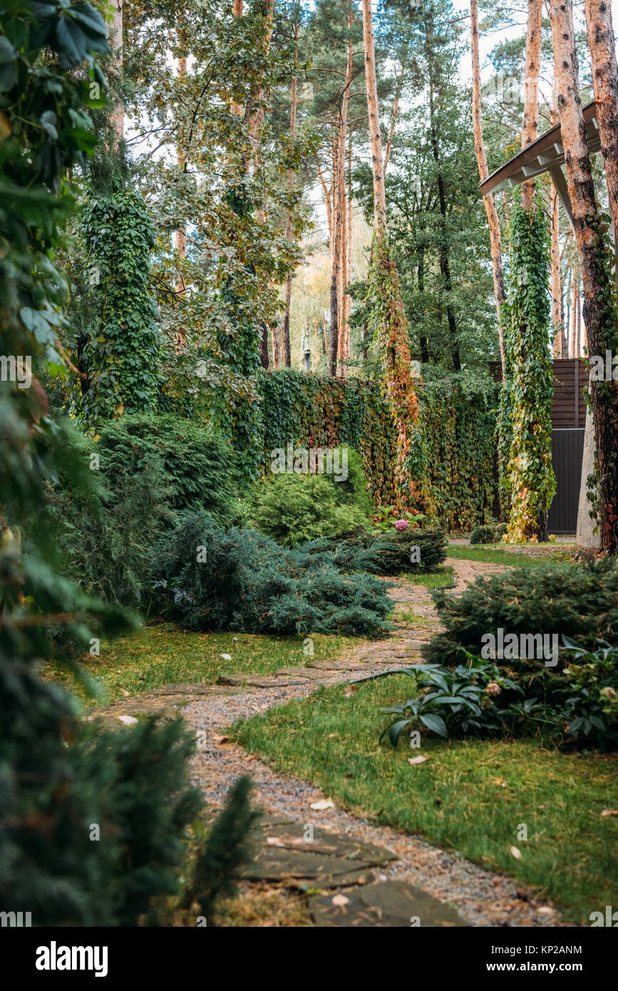 pathway between bushes and cottage house Stock Photo Alamy