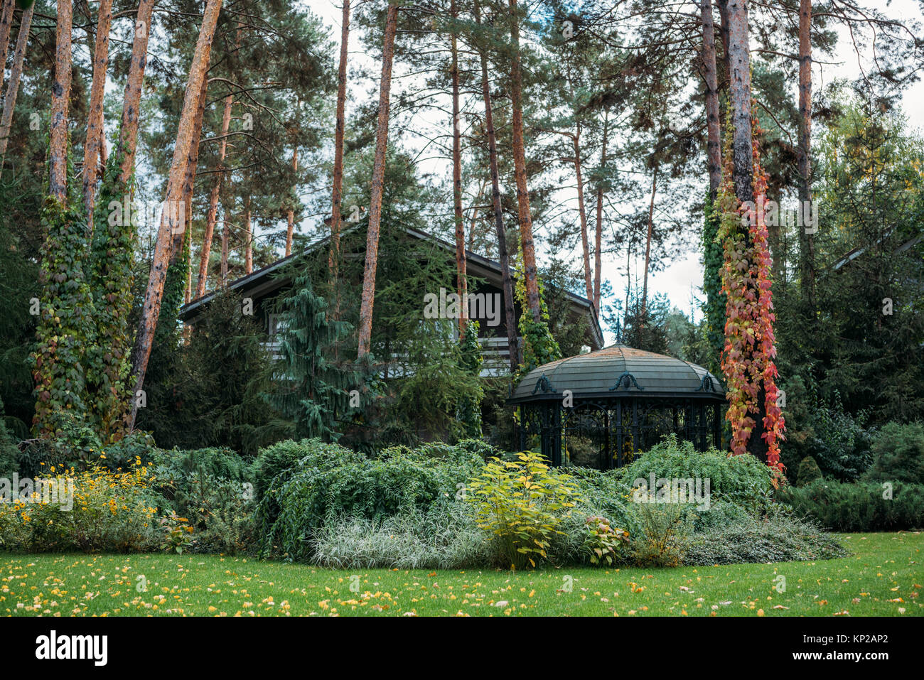 modern cottage house Stock Photo - Alamy