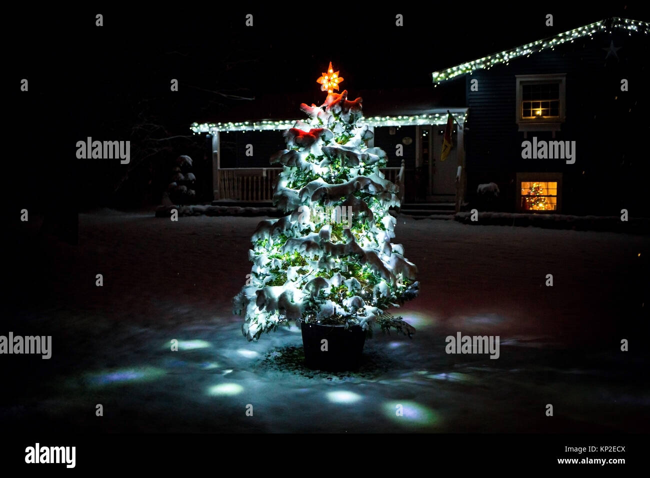 Lighted christmas tree at night decorated with snow Stock Photo Alamy