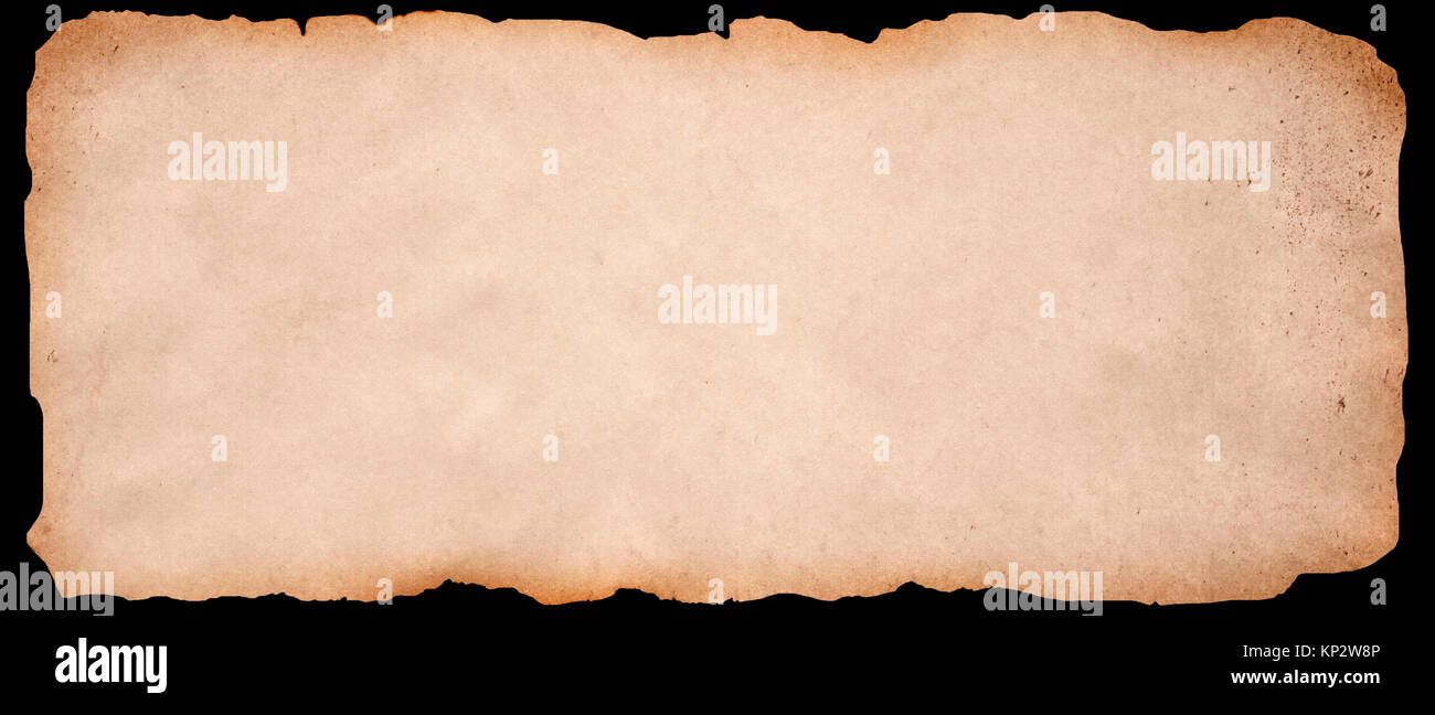 Old paper texture for the design. Natural material. Stock Photo