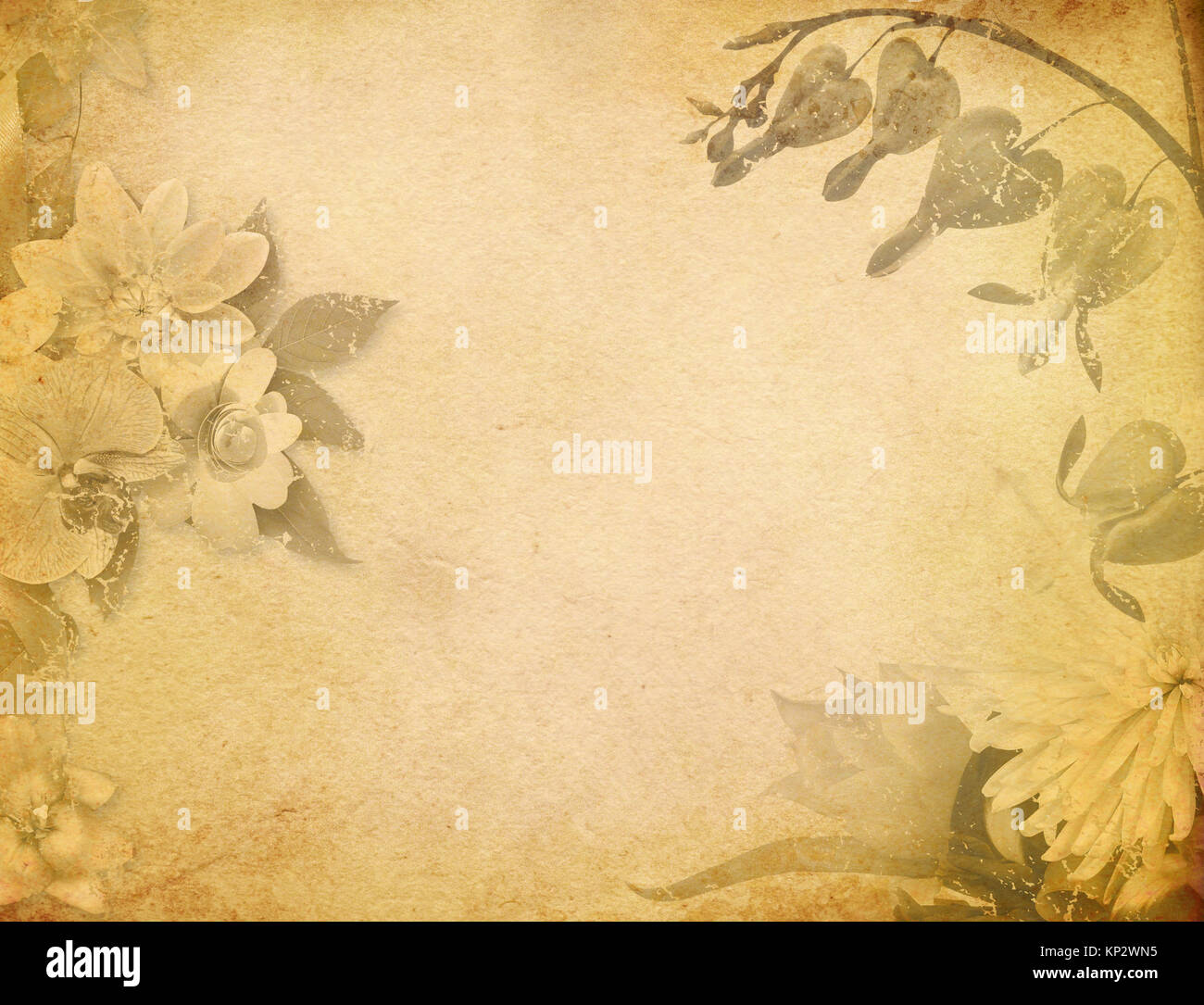 Old grunge paper with floral elements for the design Stock Photo - Alamy