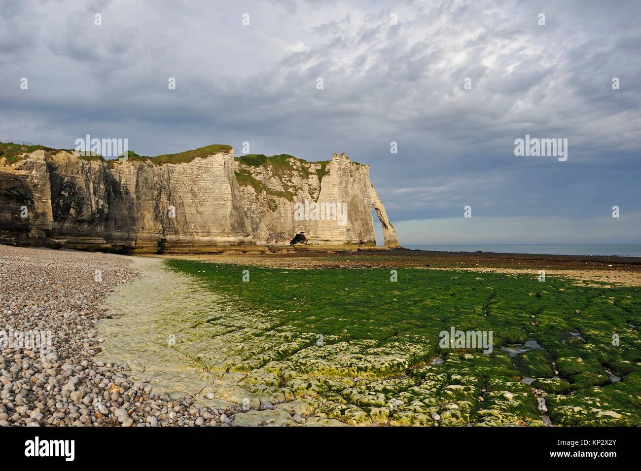 foreshore at low tide and cliff, Etretat, Seine-Maritime department, Normandie region, France, Europe. Stock Photo