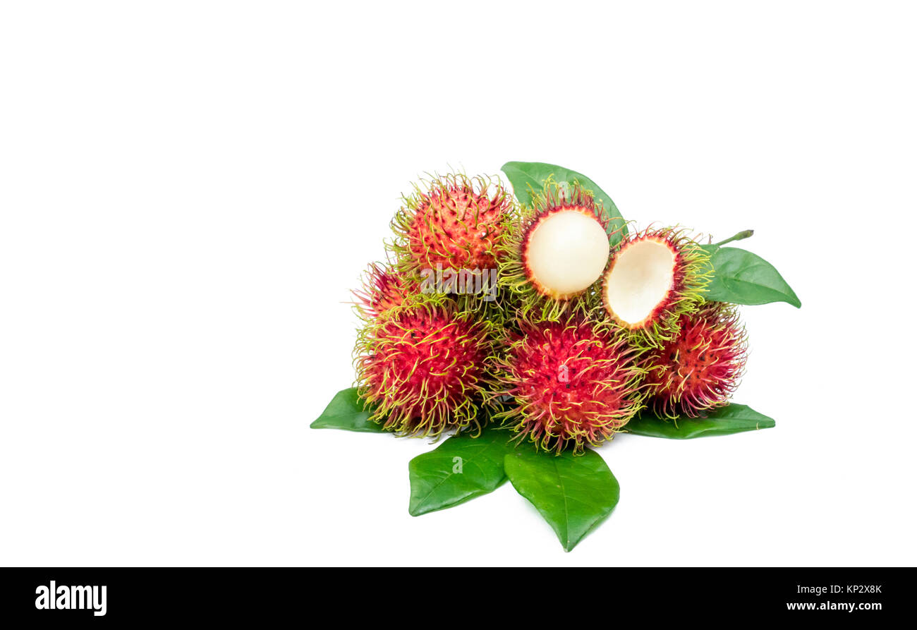 Rambutan leaves hi-res stock photography and images - Alamy