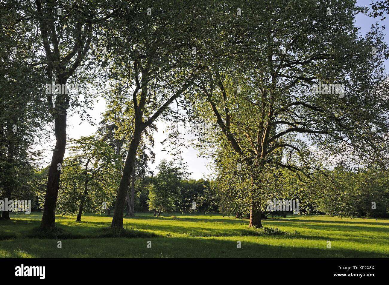 park of the Chateau de Rambouillet, Department of Yvelines, Ile-de ...