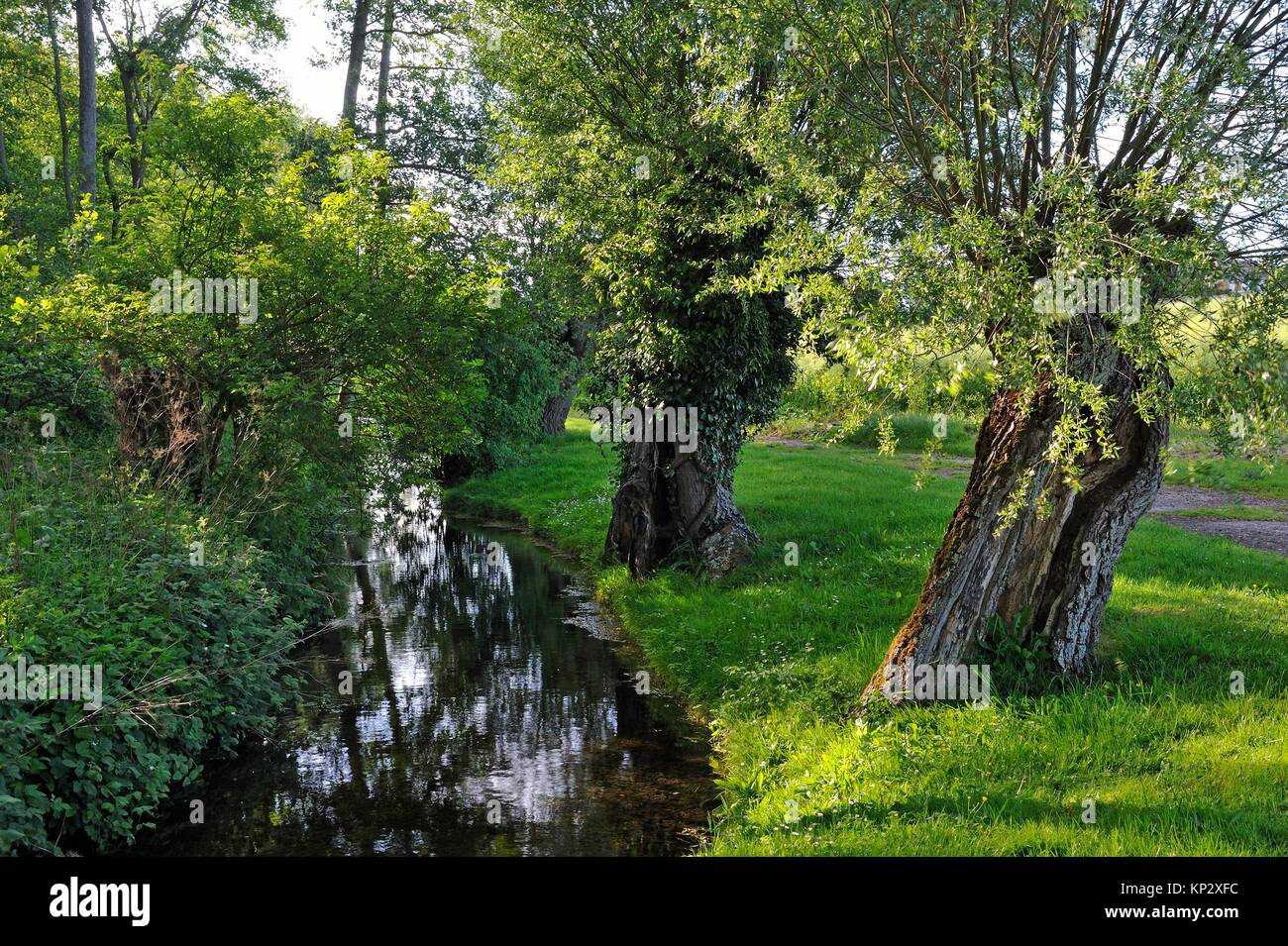 La Maltorne small river at Senantes, EureetLoir department, Centre