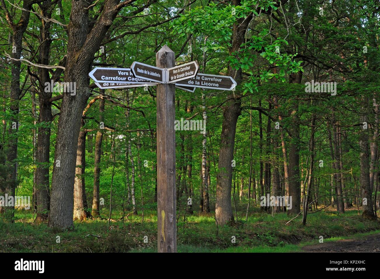 Poteau hi-res stock photography and images - Alamy