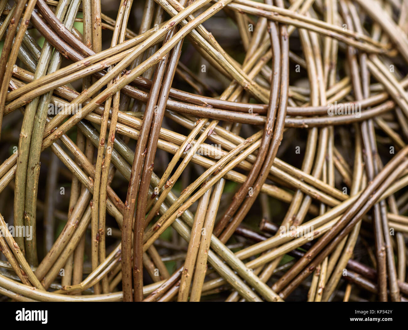 A woven willow background. Stock Photo