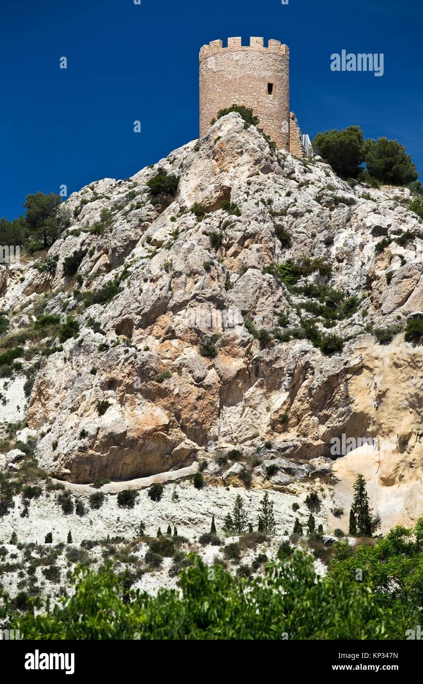 Détail De La Lagune D'antela En Galice Espagne Photo stock - Image du  tranquille, étang: 211137642