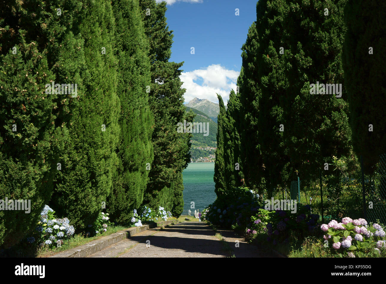 Foot path flanked by Cypress trees leading to shore of lake Como at Abbey of Piona, Lecce, Italy Stock Photo