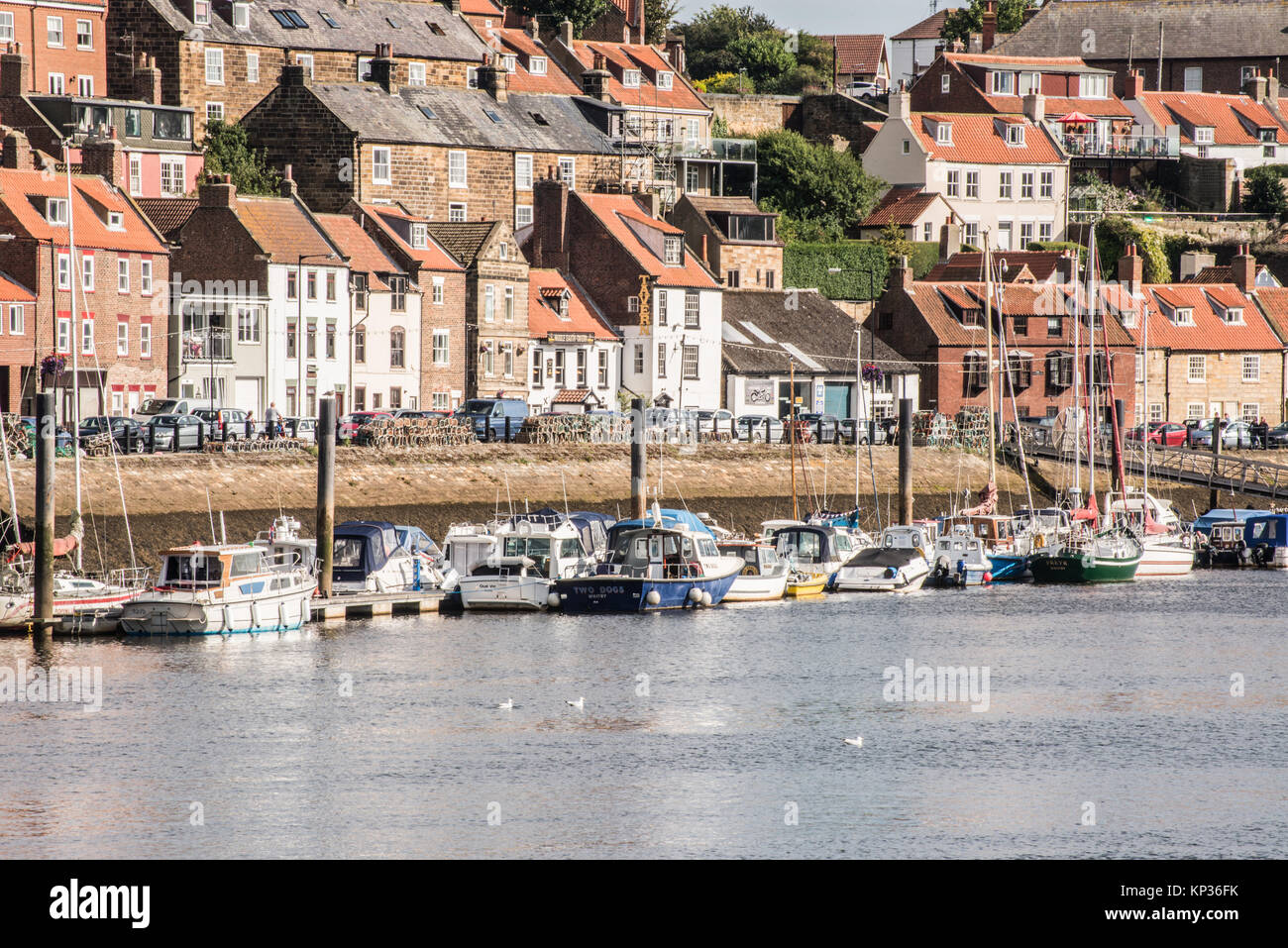 Sailing in to Whitby Harbour Yorkshire Ray Boswell Stock Photo