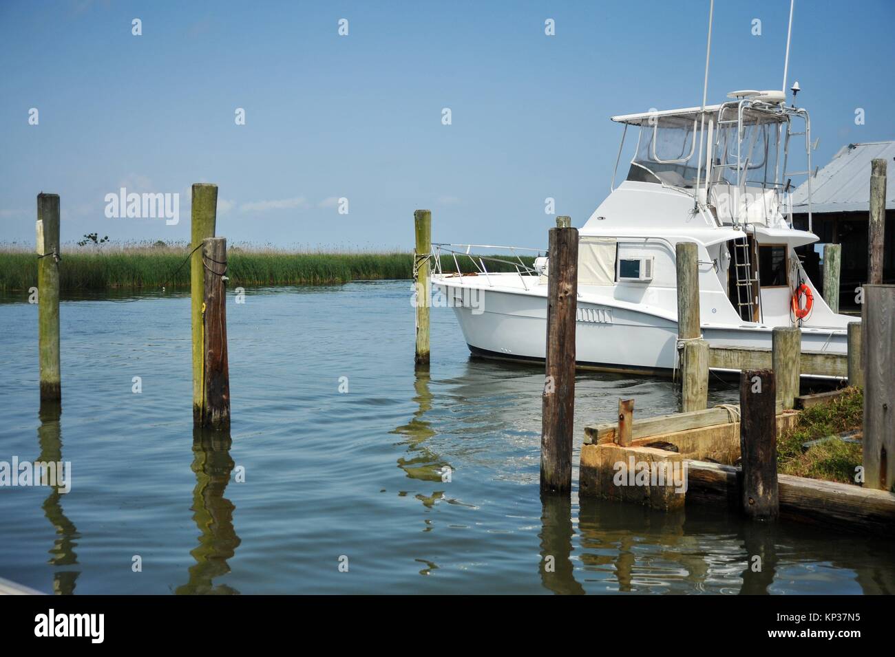 Water Street Marina Apalachicola