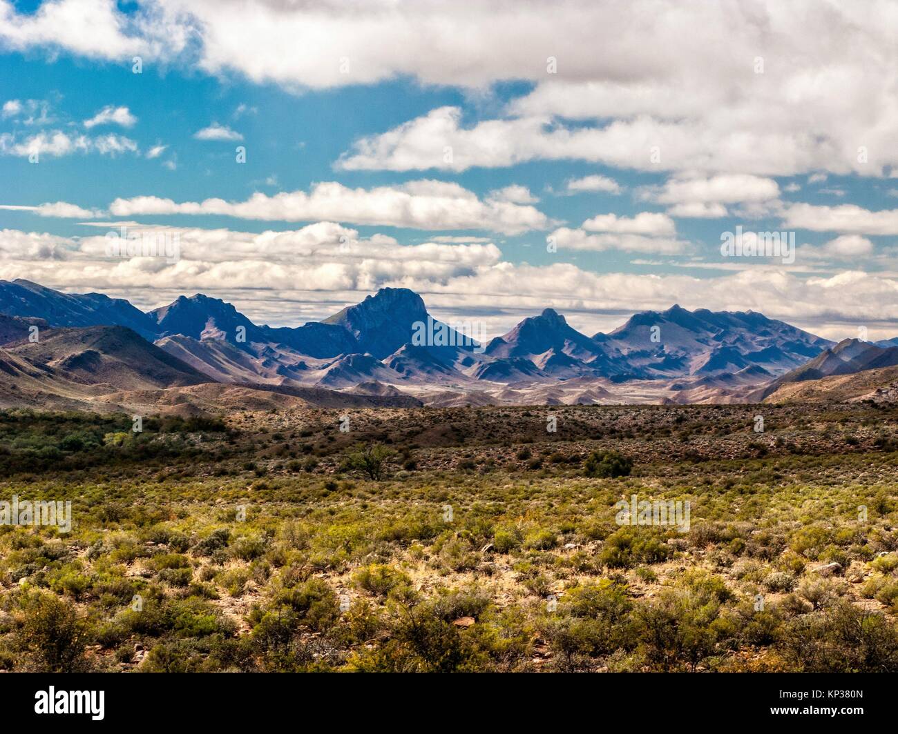 Karoo landscape with distant rugged mountain range. Stock Photo