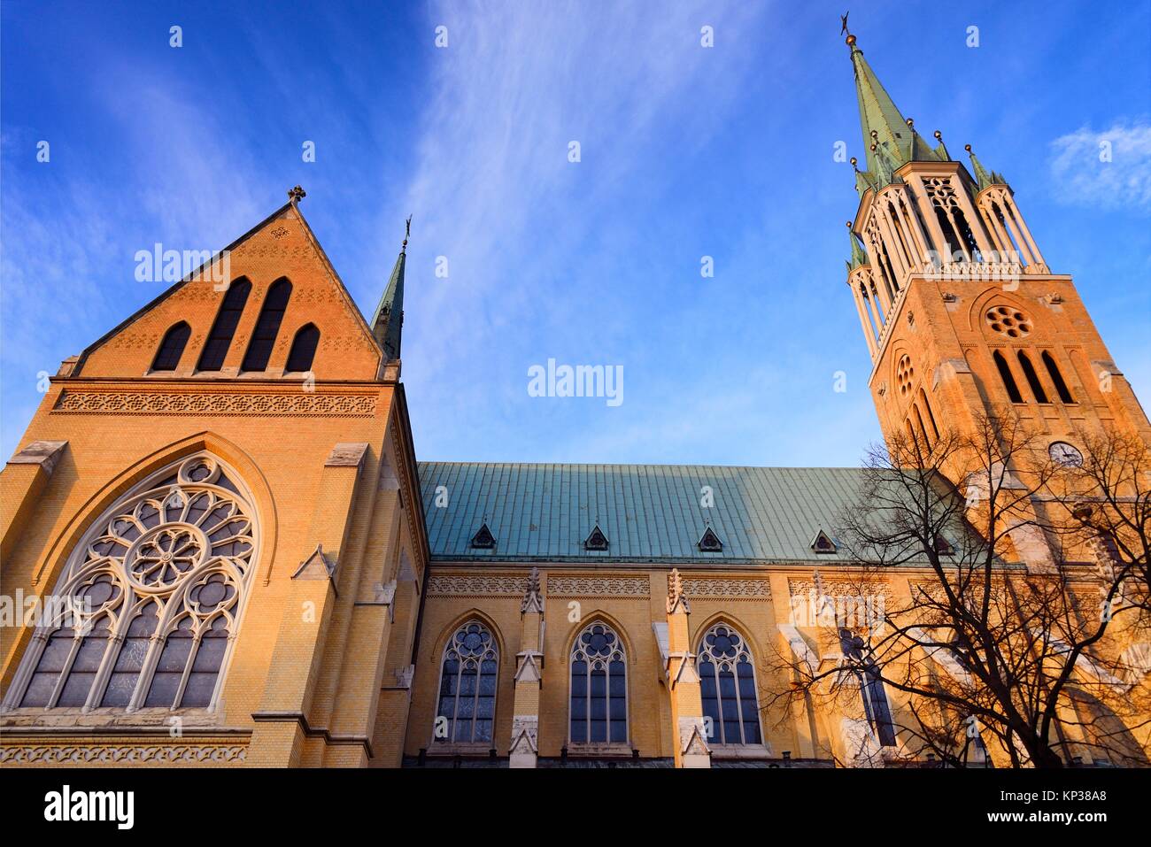 Archcathedral Basilica of St. Stanislaus Kostka in Lodz, Bazylika Stock
