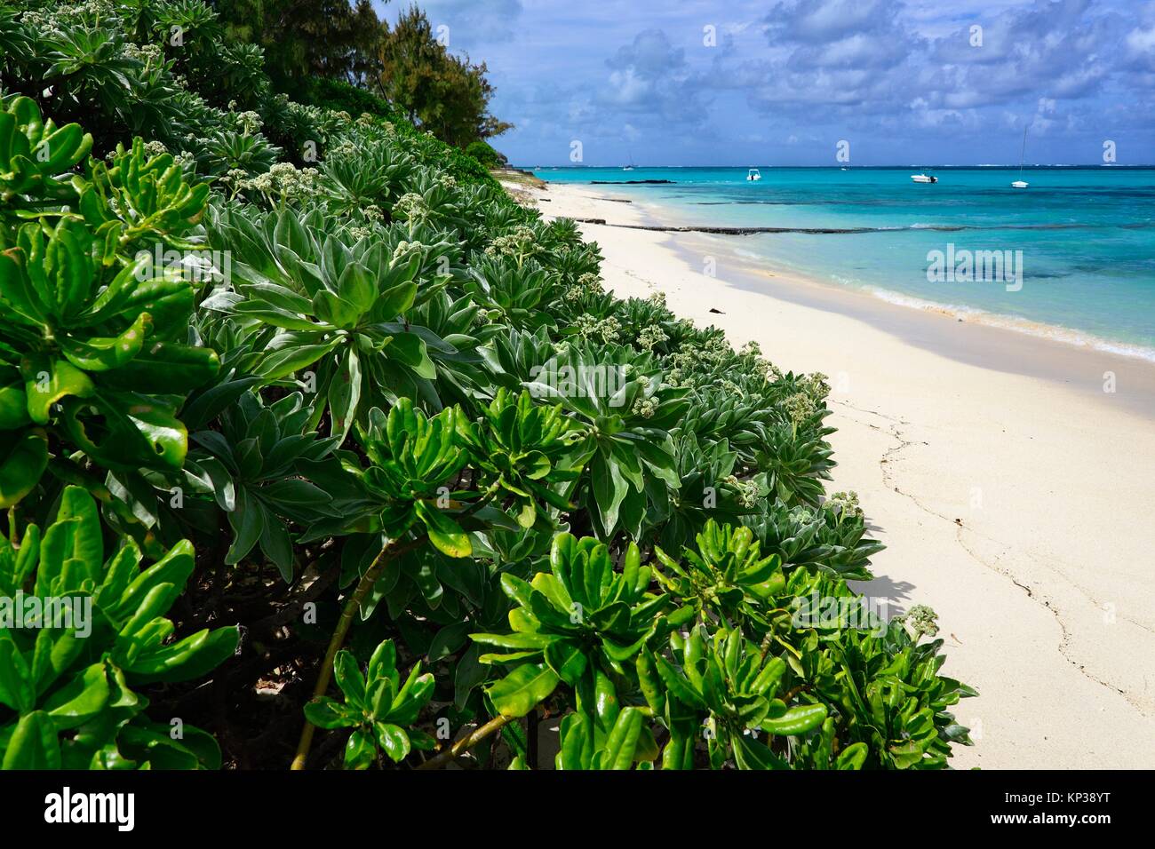 Paradise unspoilt beach in Blue Bay, Mauritius, Africa Stock Photo