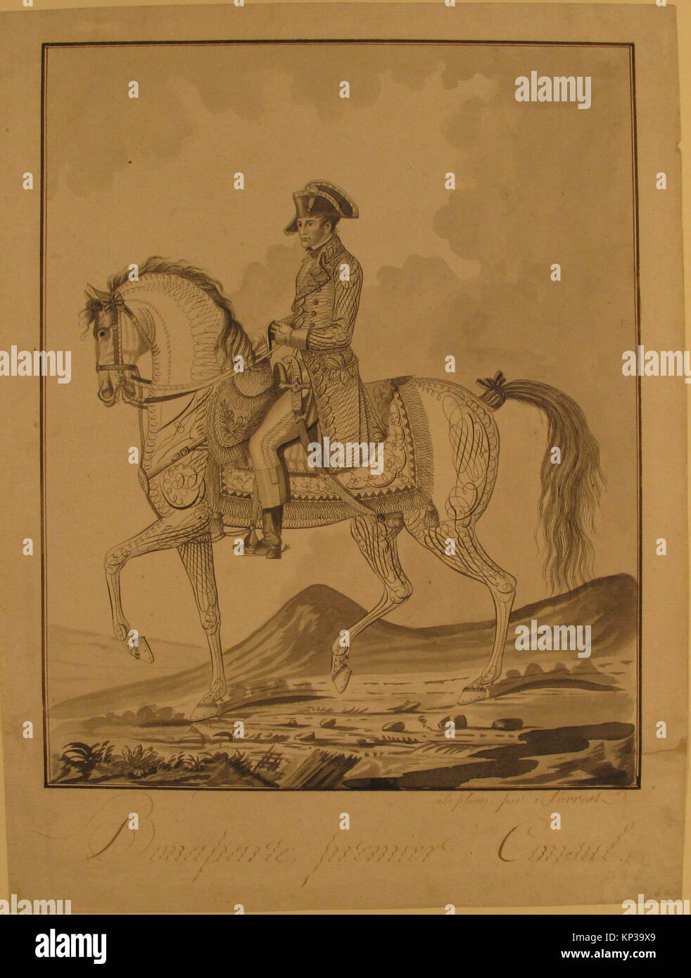 Equestrian portrait of napoleon hi-res stock photography and images - Alamy