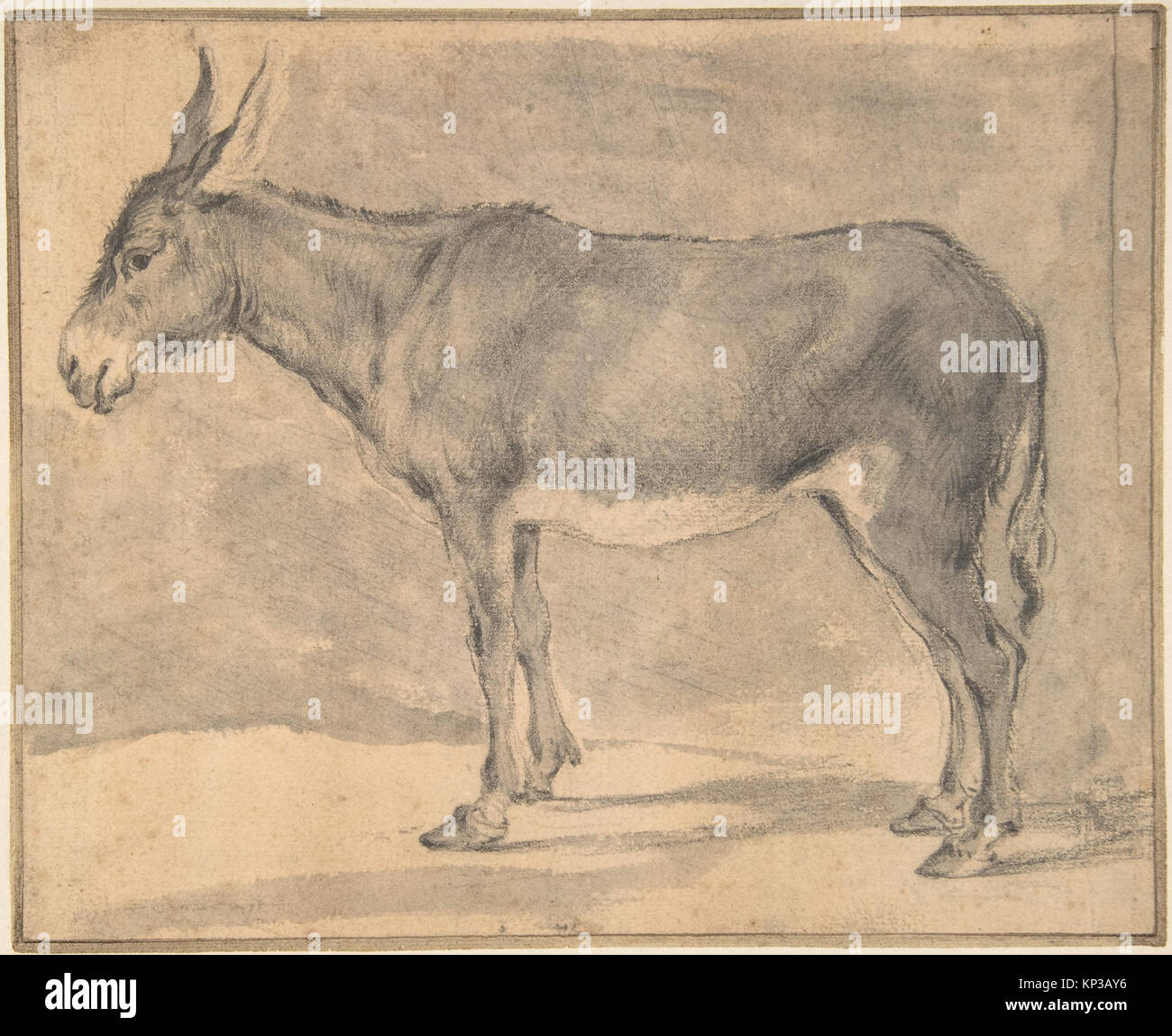 An illustration from the Metropolitan Museum showing a donkey ...