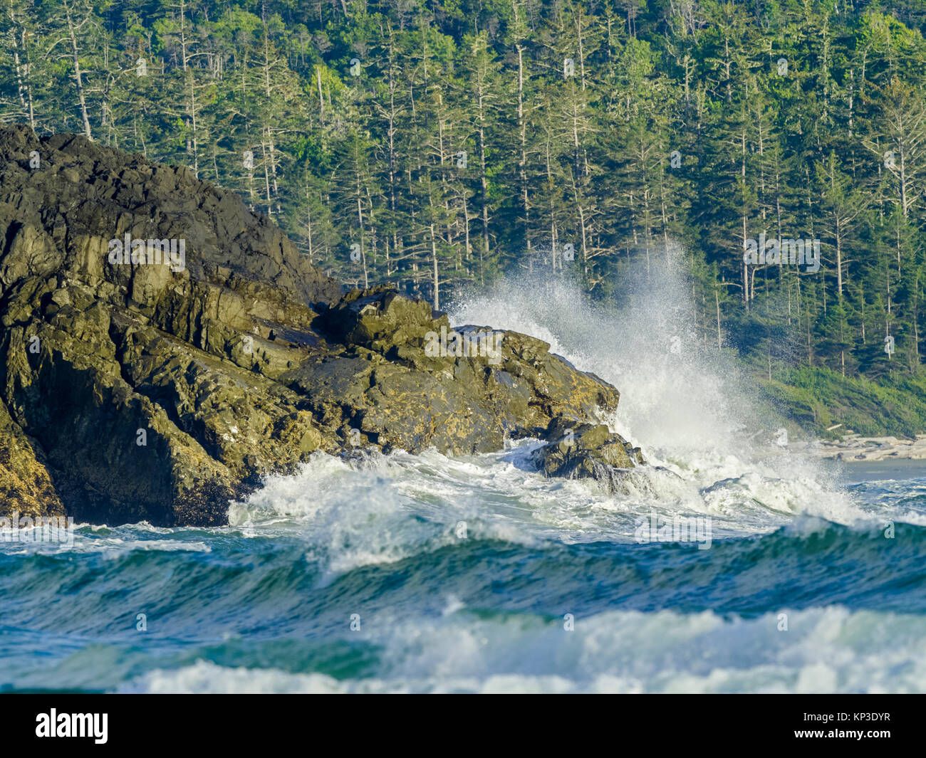 Shoreline along Pacific Rim National Park, Canada Stock Photo - Alamy