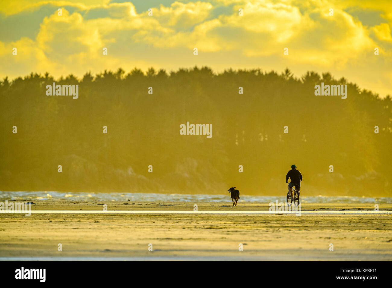 Cycling along Pacific Rim National Park, Canada Stock Photo - Alamy