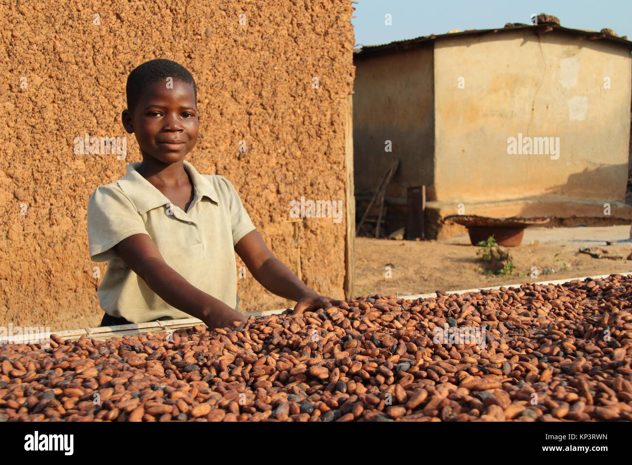 Nine-year-old Moahe helps drying the cocoa beans that were harvested shortly before in th esun in the village Konan Yaokro, Ivory Coast, 1 December 2017. Most chocolate in Germany comes from Weste Africa, where more and more children work in the cocoa plantations. Photo: Jürgen Bätz/dpa Stock Photo