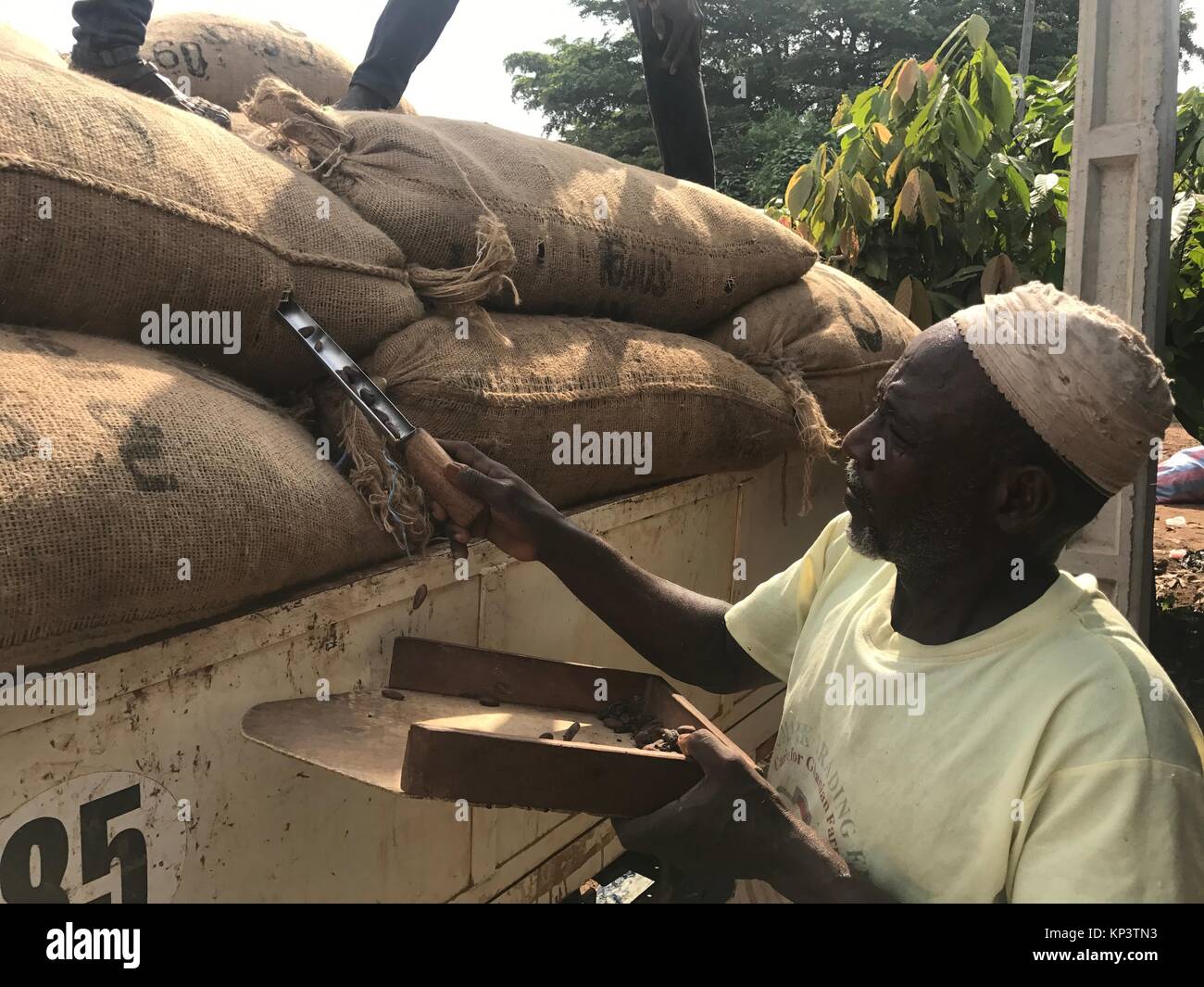 A worker takes a probe from a bag at the cocoa cooperation CANN in the city N·Douci, Ivory Coast, 3 December 2017. Amangoua plants cocoa on three hectars. Most chocolate in Germany comes from Weste Africa, where more and more children work in the cocoa plantations. Photo: Jürgen Bätz/dpa Stock Photo