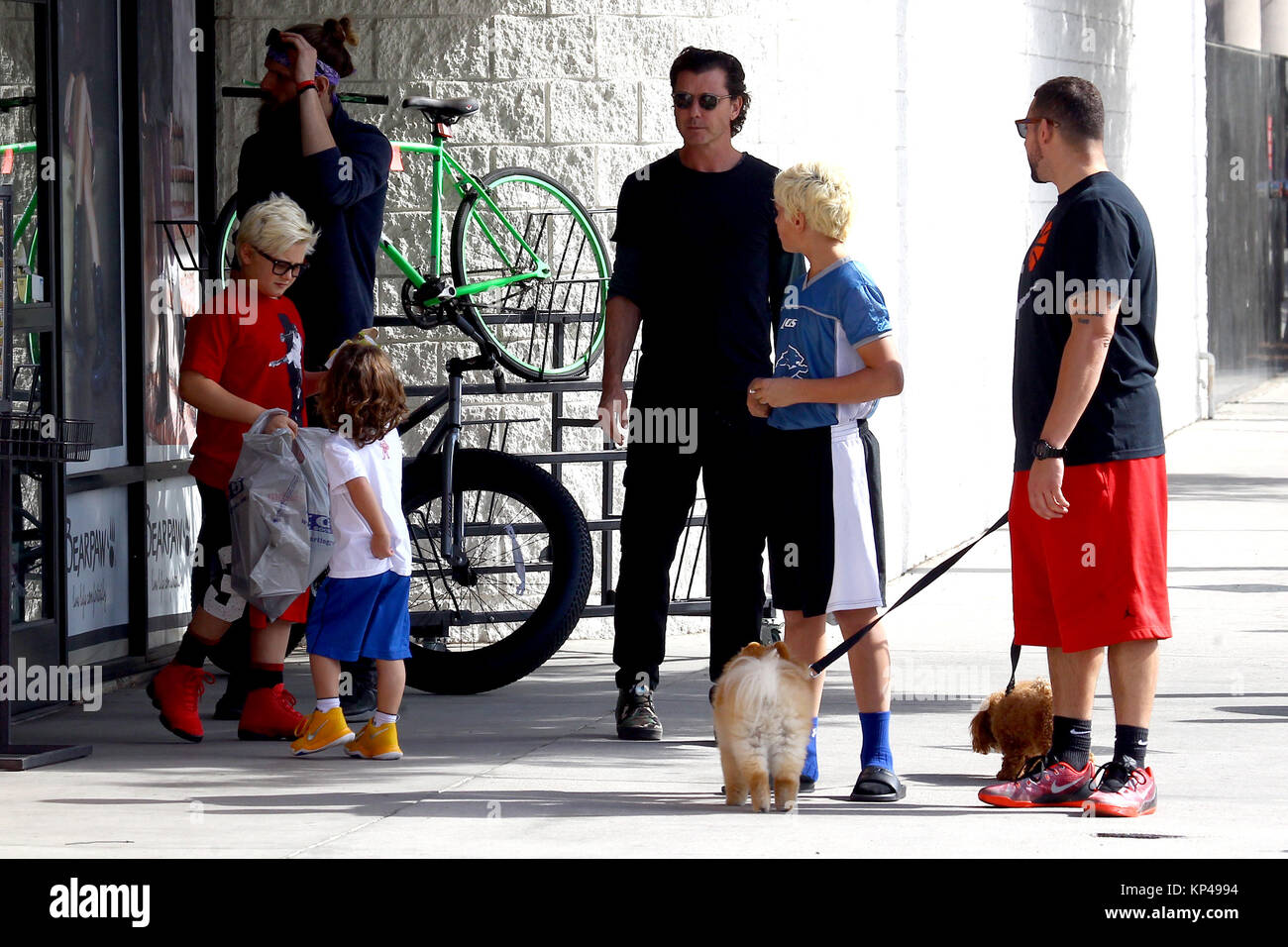 big 5 sporting goods bikes