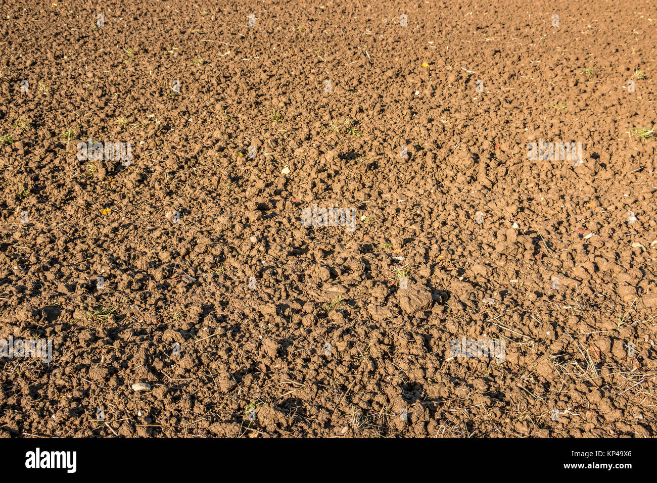 Fertile fields and green and brown soil Stock Photo