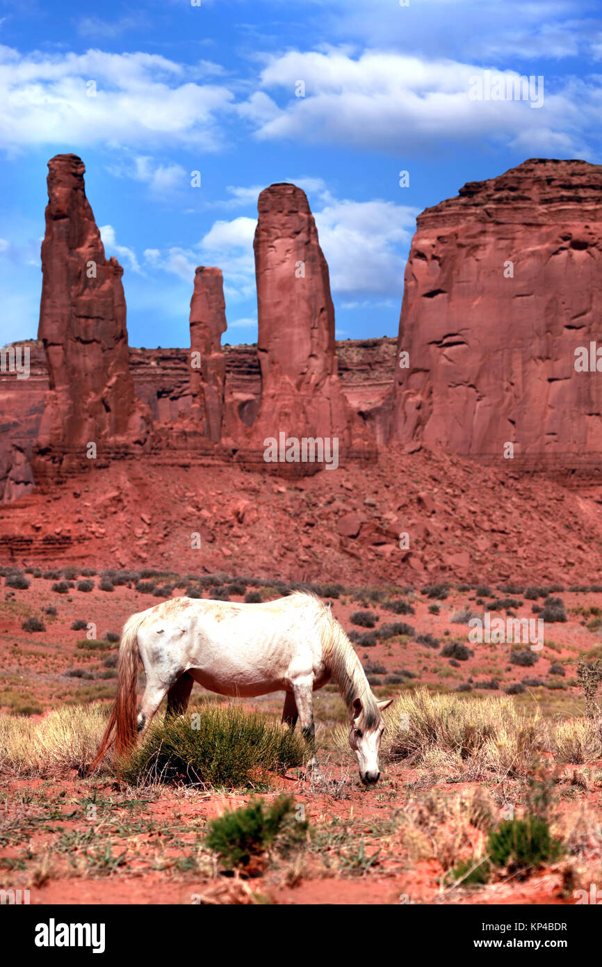 Horse Grazing in a Beautiful Monument Valley Landscape Stock Photo