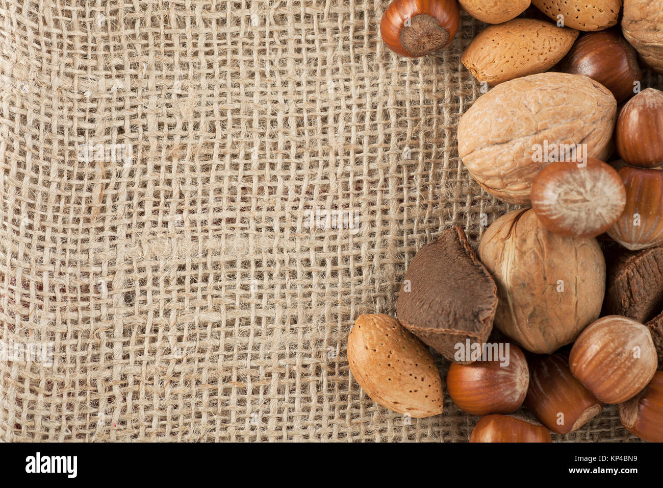 Whole unshelled hazelnuts, walnuts, amonds and brazilnuts  on burlap sack with copy space Stock Photo