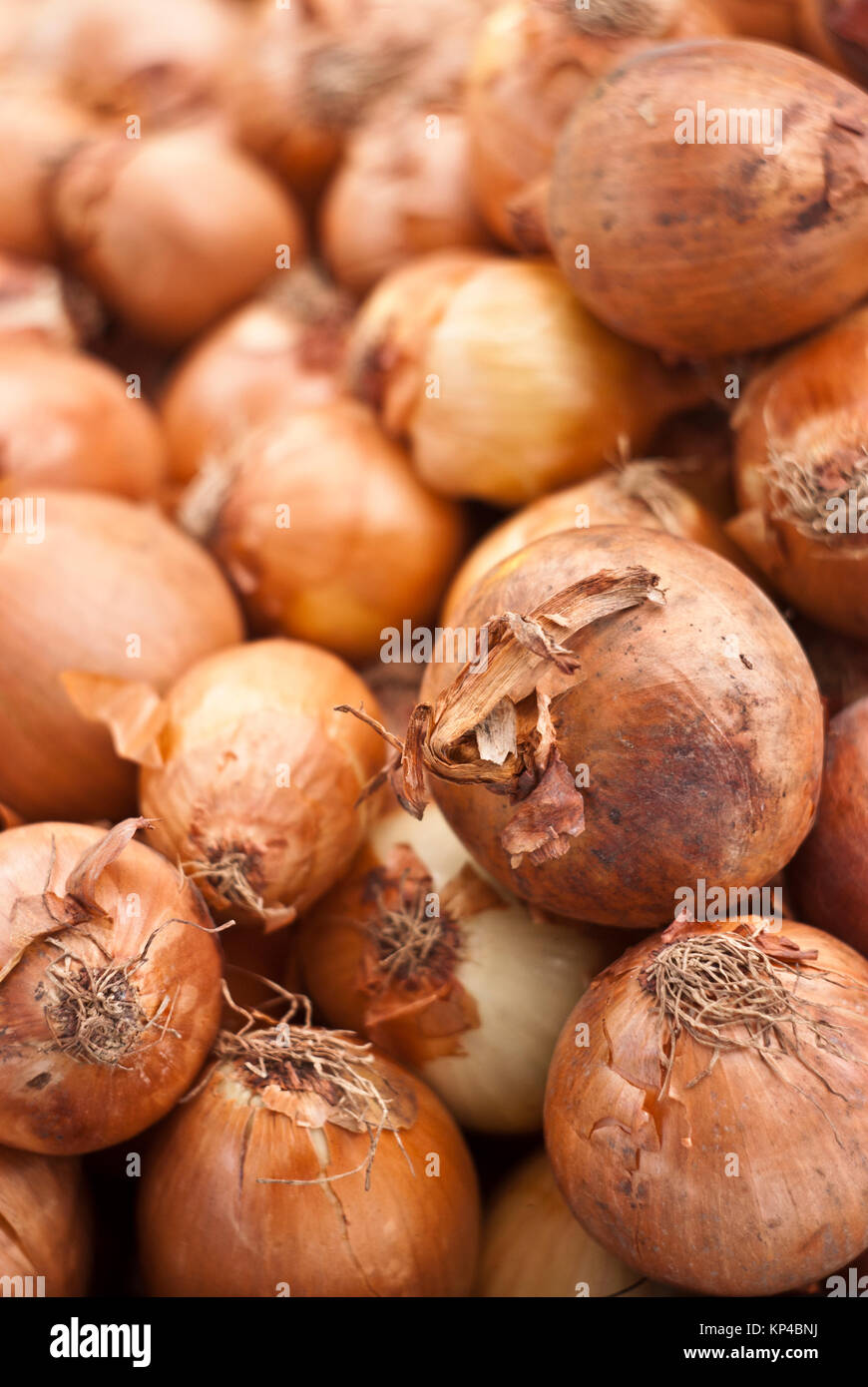 Onions on display at italian market Stock Photo - Alamy