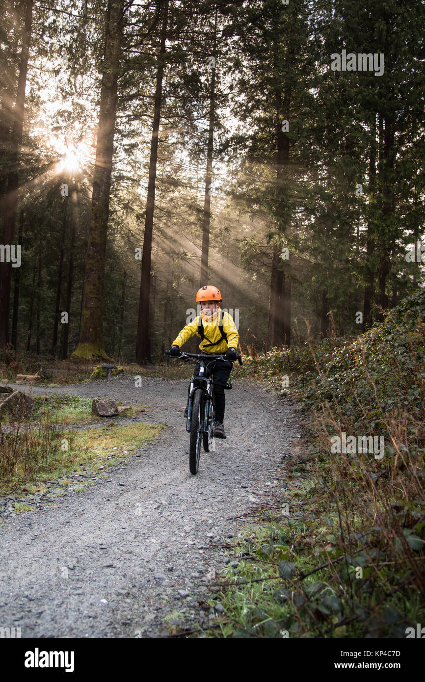 Boy, youth mountain biking through the woods with sunlight behind Stock Photo