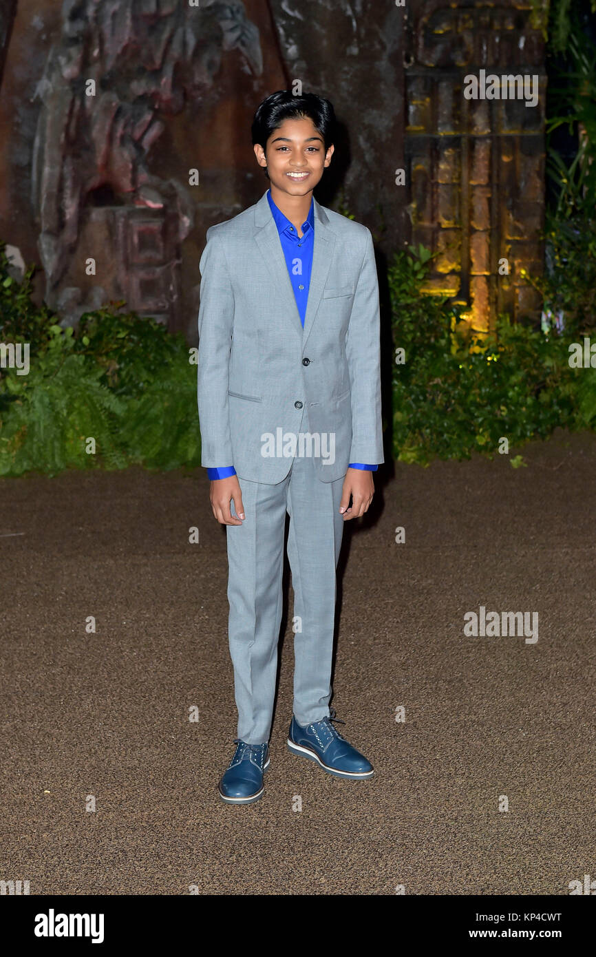 Rohan Chand attends the 'Jumanji to the Jungle' premiere at