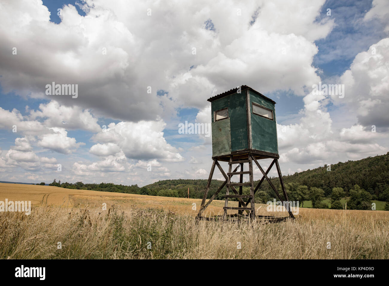 Animal watching tower on field. Sky with clouds. Stock Photo
