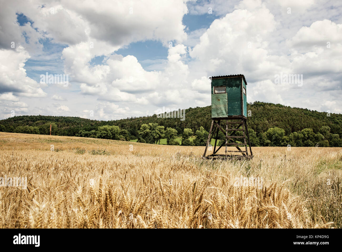 Animal watching tower on field. Sky with clouds. Stock Photo