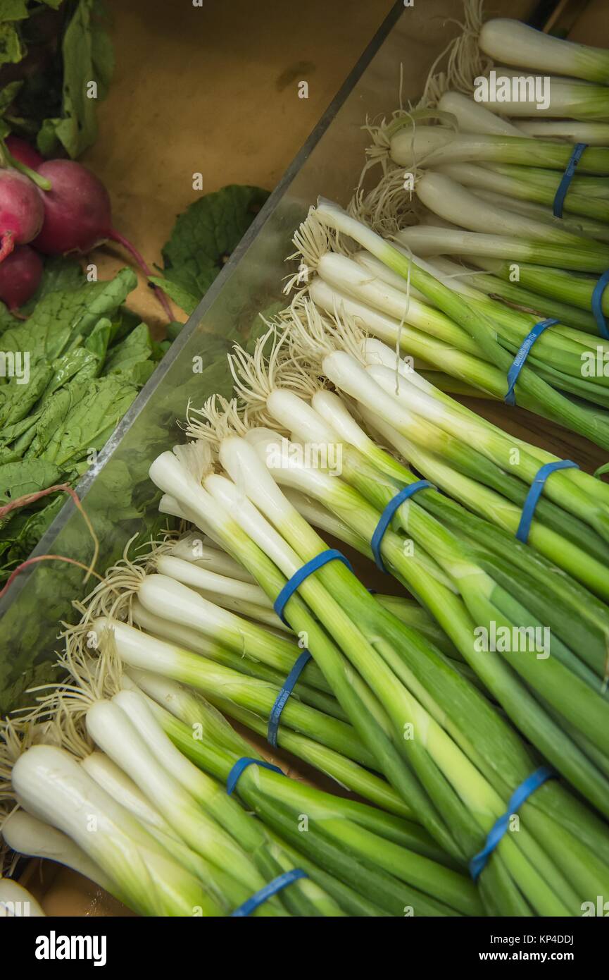 bunches of green onions from market shelves real with flaws and Stock ...