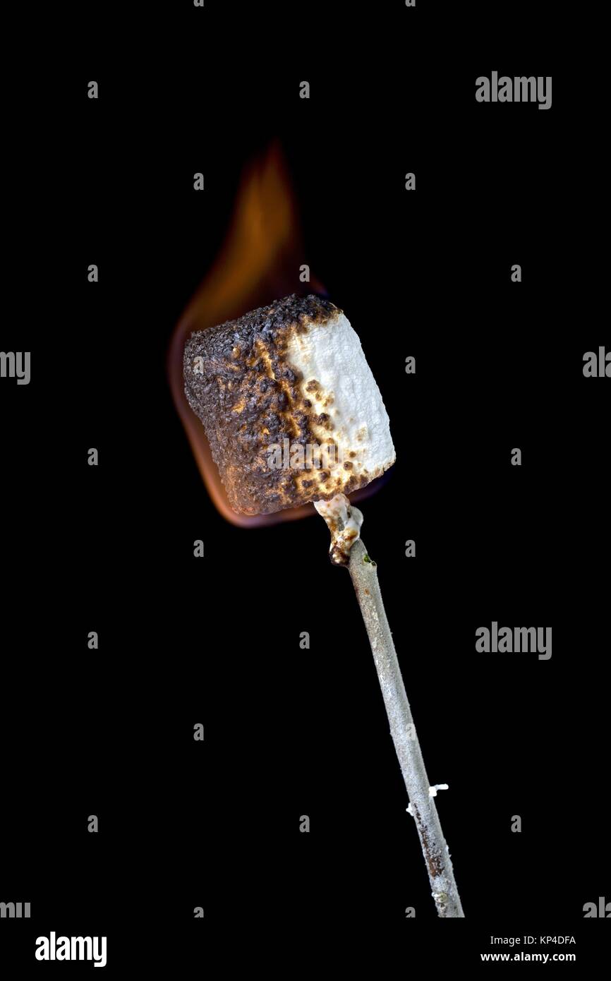 burning marshmallow Stock Photo Alamy
