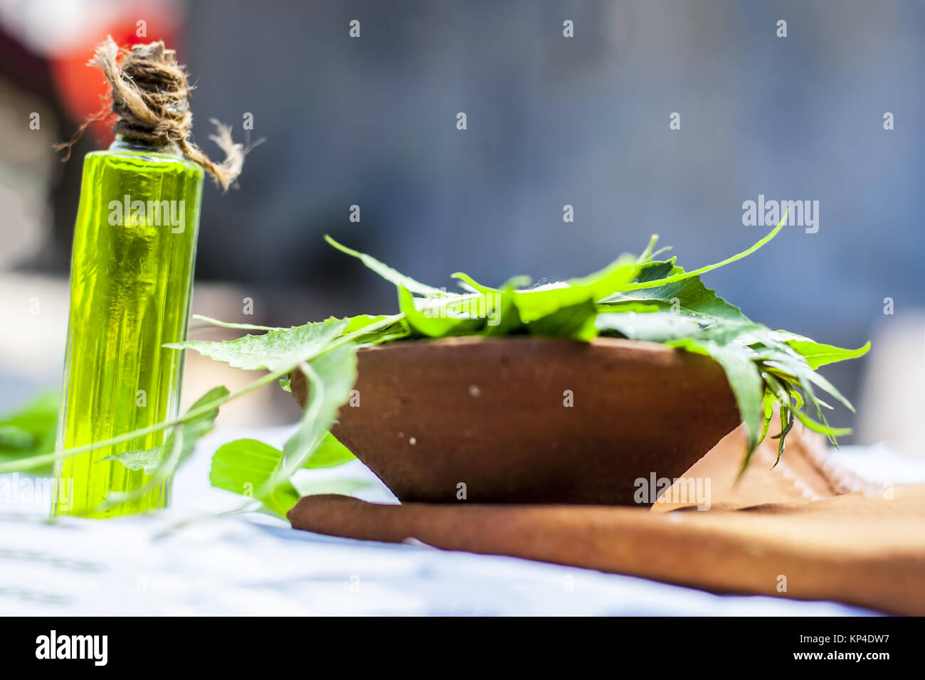 Azadirachta indica,Neem with its leaves and oil in a bottle  in a clay bowl for skin care. Stock Photo
